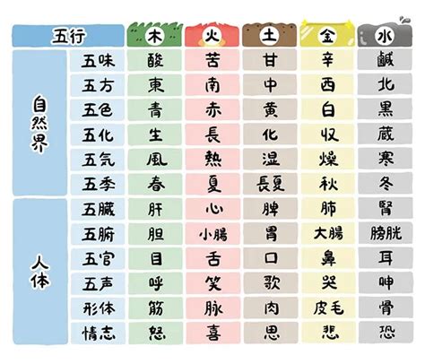 五行 体の部位|五行説を覚えて健康を目指そう！ 